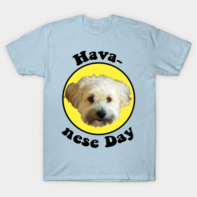 Havanese Day T-Shirt by matthew_greer